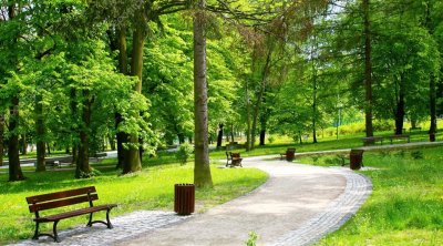 Bakıda yeni park salınacaq - BU ƏRAZİDƏ