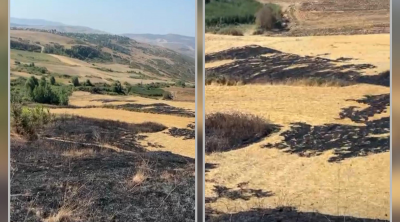 Şamaxıda yanğın törədən şəxs məsuliyyətə cəlb olundu
