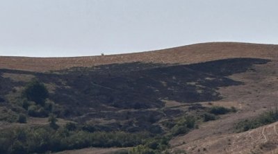 Məlhəmdə yanğın törədən şəxs SAXLANILDI