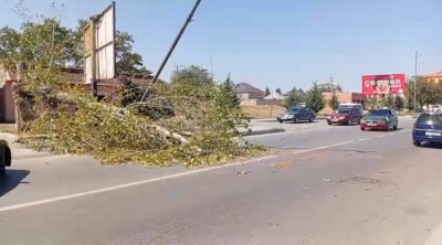 Güclü külək Xaçmazda fəsadlara yol açdı - VİDEO