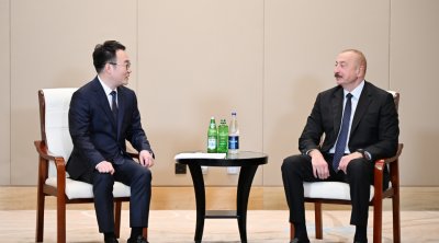 İlham Əliyev “Powerchina group” şirkətinin vitse-prezidenti ilə görüşdü – FOTO