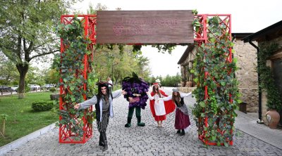 Şamaxıda Üzüm və Şərab Festivalı start götürür - FOTO/VİDEO