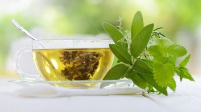 Yaşıl çayı nə zaman içmək lazımdır?