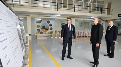 Prezident Sabirabadda toxum istehsalı müəssisəsində - FOTO