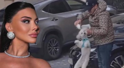 Aysel itə qəddarlıq edən şəxsin videosunu paylaşdı - VİDEO