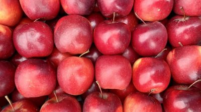 İlkin Həsənovun 163,4 ton alması MƏHV EDİLƏCƏK