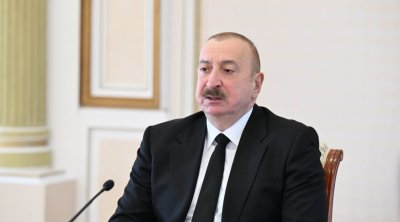 Prezident: “Əkin-biçin üçün yararlı olan torpaqlarda bəzi məmurlar özləri üçün imarətlər inşa ediblər”