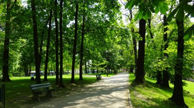 Tovuzda parkda 57 yaşlı kişi meyiti tapıldı