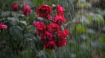 Sabah hava necə olacaq? – PROQNOZ