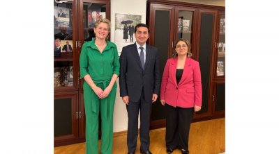 Hikmət Hacıyev Niderland səfiri ilə görüşdü