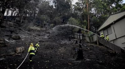 Avstraliyada meşə yanğınları tüğyan edir