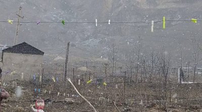 Şimal bölgəsinə yenə qar yağır - VİDEO