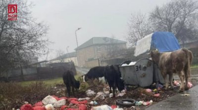 Bu qəsəbədə məişət tullantıları günlərdir daşınmır – FOTO