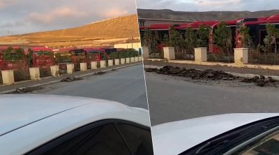 Bakıda illərdir istifadəsiz qalan avtobuslar – VİDEO