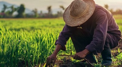 &ldquo;Məzunların bölgələrdə çalışması üçün yeni proqram hazırlana bilər&rdquo; &ndash; Deputatdan TƏKLİF