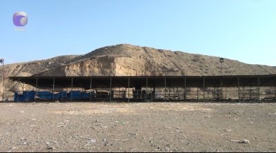 Tovuzda heyvan bazarı nə vaxt açılacaq? &mdash; VİDEO