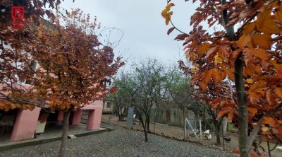 Lənkəranda qeyri-adi təbiət hadisəsi – FOTO