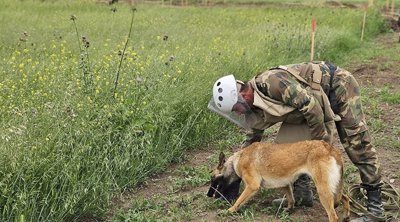 Minatəmizləmədə heyvanlardan da istifadə ediləcək