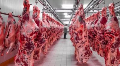 Azərbaycanda bu ölkələrdən gətirilən ətlər satılır - SİYAHI
