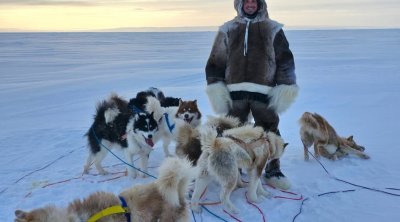 &ldquo;Zlatan Qrenlandiyanı Trampa qarşı təkbaşına müdafiə edəcək&rdquo; - FOTO