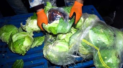 Gömrükdə ƏMƏLİYYAT: &ldquo;Kələm&rdquo; yükündən narkotik aşkarlandı - FOTO