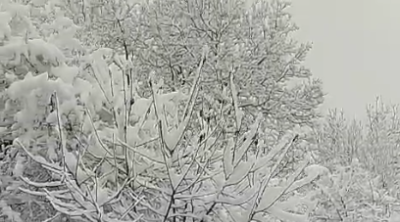 Qaxda qarın hündürlüyü 45 sm-ə çatdı – VİDEO