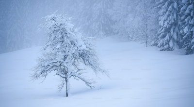 FAKTİKİ HAVA: Bəzi yerlərdə sulu qar, qar yağır