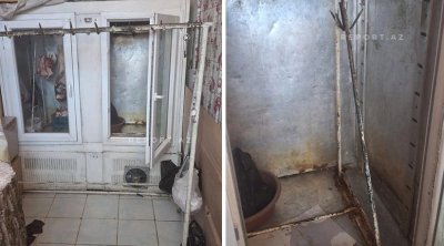 Ordubadda ət satışı mağazasında nöqsanlar AŞKARLANDI - FOTO