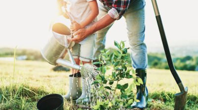 Bitkiçilik məhsullarında pestisid qalıqlarının aşkar edilməsinə dair XƏBƏRDARLIQ