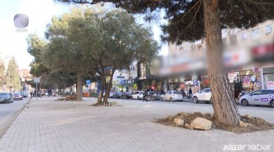 Əhmədlidə yaşıllıq məhv edilərək yerində restoran tikiləcək? - VİDEO
