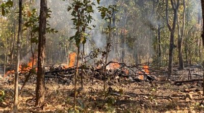 Hərbi təyyarə qəzaya uğradı – Pilotlar HƏLAK OLDU - VİDEO