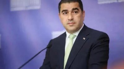 Papuaşvili: “Mixael Qaler Gürcüstan rəsmilərindən üzr istəməlidir”