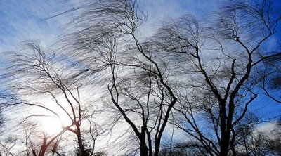 Ölkə ərazisində yağıntılı və küləkli hava davam edir - FAKTİKİ HAVA