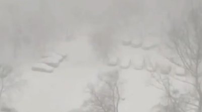 Moskva hava limanlarında təxminən 50 reys GECİKİR - VİDEO