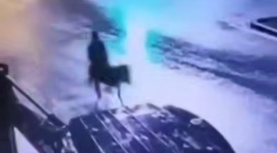 Zərgərlik mağazasını soyub, uzunqulaqla qaçmağa çalışdı &ndash; ANBAAN VİDEO