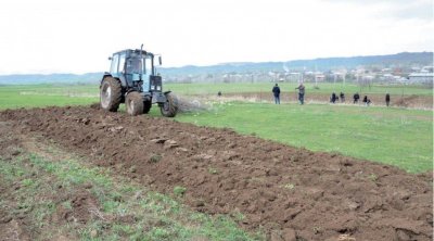 Qırmızı Bazarda əkin işi ilə məşğul olmaq istəyənlərin NƏZƏRİNƏ