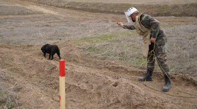 Azad olunan ərazilər minalardan belə təmizlənir &ndash; FOTO