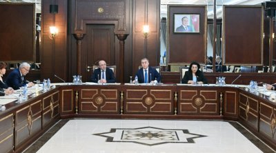 &ldquo;Yerin təki haqqında&rdquo; Qanunda dəyişiklik edilir - VİDEO