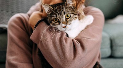 Kişi arvadını döydü - Pişik saxlayırmış