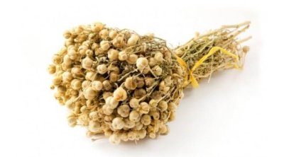 AZAL-dan Rusiyaya üzərlik bitkisi aparan vətəndaşlara XƏBƏRDARLIQ