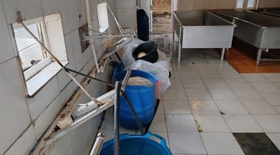 Ağcabədidə qanunsuz fəaliyyət göstərən pendir sexi aşkarlandı - FOTO