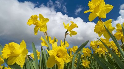 Martın ilk iş günündə hava necə olacaq?