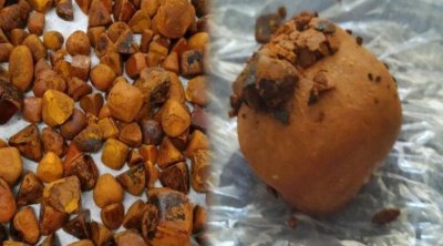 İnəkdən çıxan xəzinə: Tapan varlanır, qiyməti qızılı ikiqat üstələyir