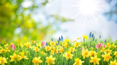 SABAHIN HAVASI - 20 dərəcə isti olacaq