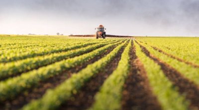 Kənd təsərrüfatı məhsullarının istehsalı 1,2 faiz ARTDI