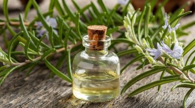 Bu qoxu yaddaşı 15% artırır