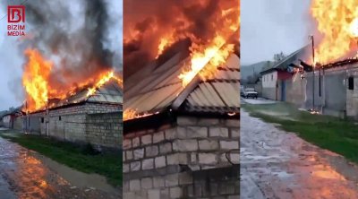 Şəkidə cücə sexi YANDI – VİDEO