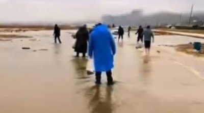 Sədərək gölü daşdı, balıqlar əllə tutuldu - VİDEO