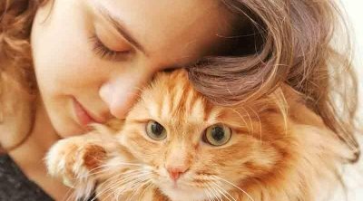 Tək cızıq kifayətdir: Pişiklərdən insanlara keçən göbələk növü aşkar edildi