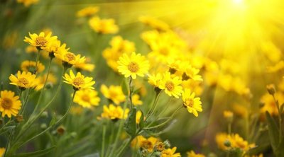 SABAHIN HAVASI: Bəzi yerlərdə duman olacaq